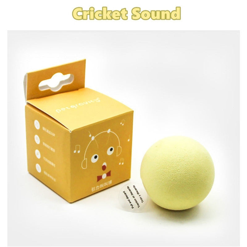 Jouets intelligents pour chats, balle interactive, herbe-aux-chats, jouet, balle de jeu