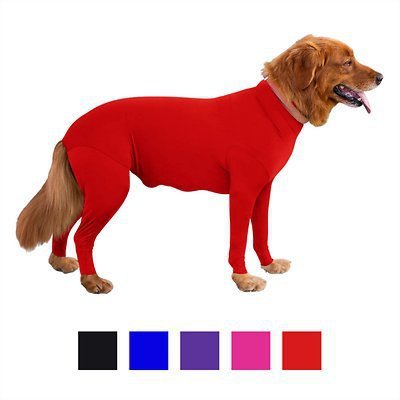 Zhongda Perro Fabricante Todo Incluido Cuatro Patas Otoño E Invierno Nueva Ropa Para Perros Ropa De Cuatro Patas Ropa Para Mascotas Gato Elástico