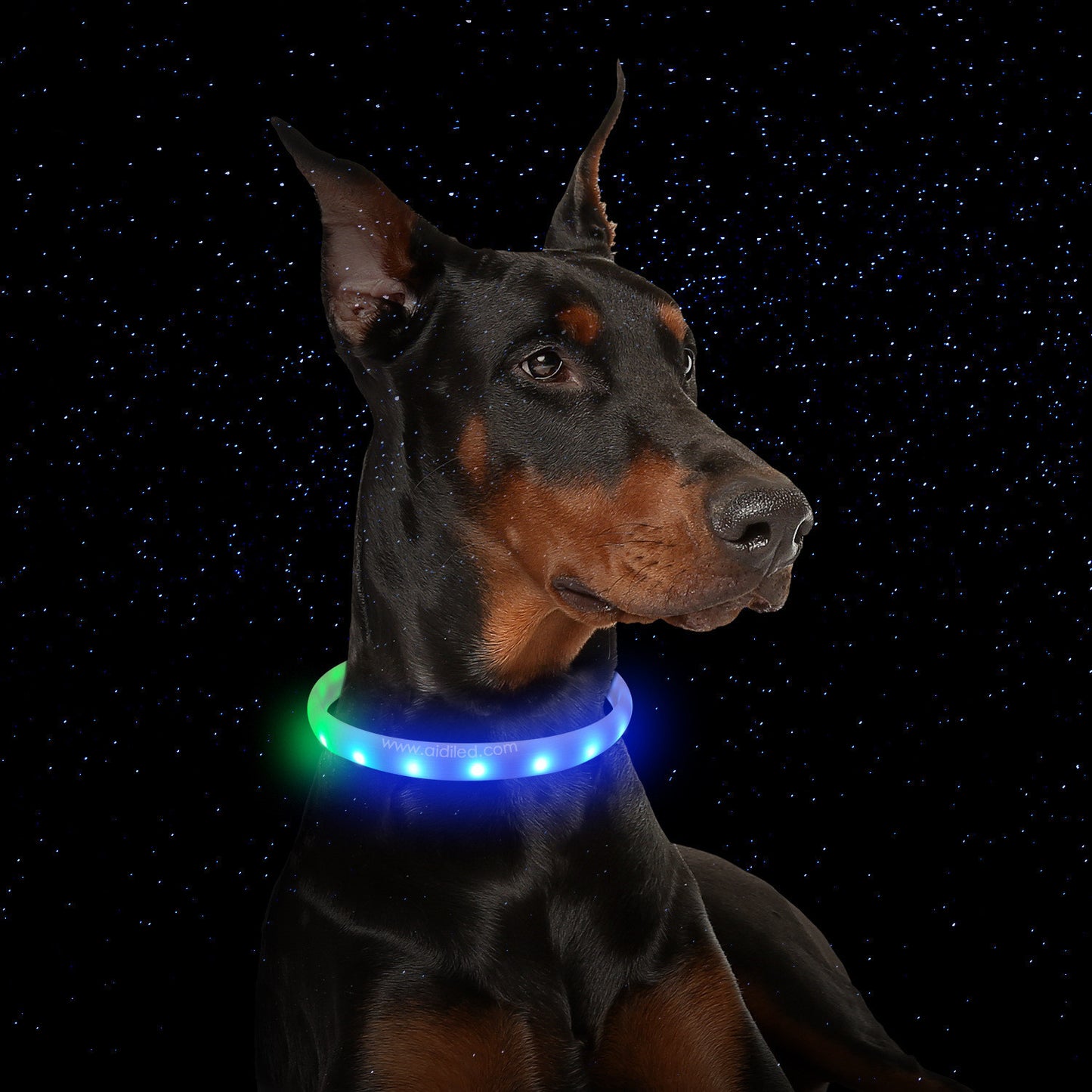 Collier Flash pour chiens, chargement USB, collier en Silicone Anti-perte, produits pour animaux de compagnie
