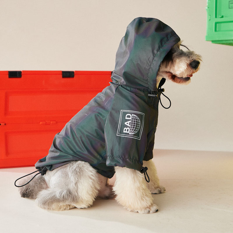 Ropa para perros Ropa de otoño