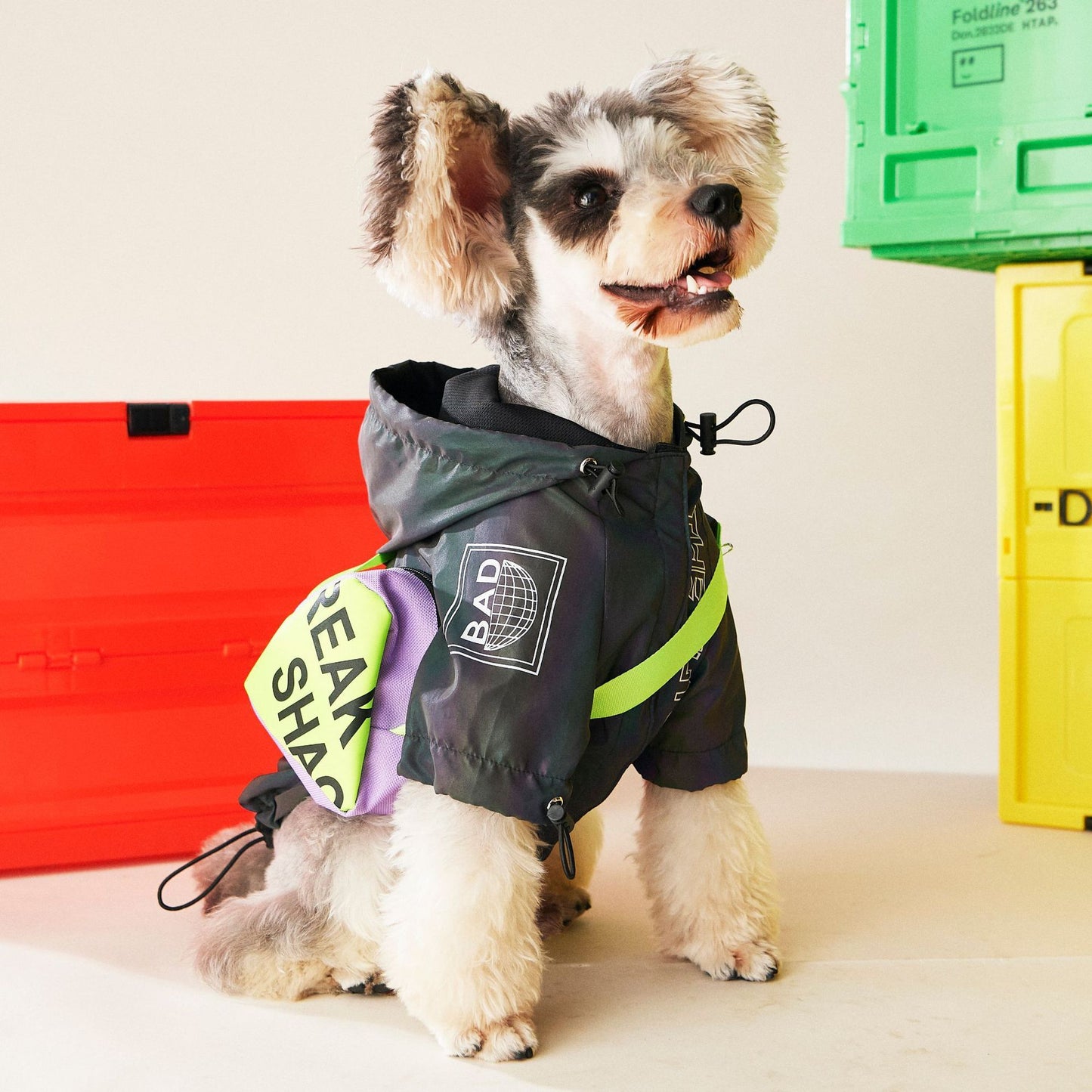 Ropa para perros Ropa de otoño