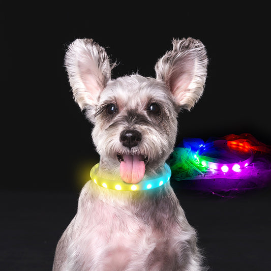 Collier Flash pour chiens, chargement USB, collier en Silicone Anti-perte, produits pour animaux de compagnie