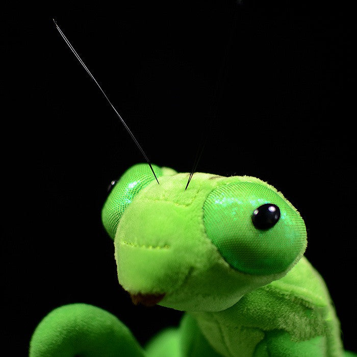 Juguete realista de los animales de peluche de la mantis de los juguetes de peluche de la mantis para los niños