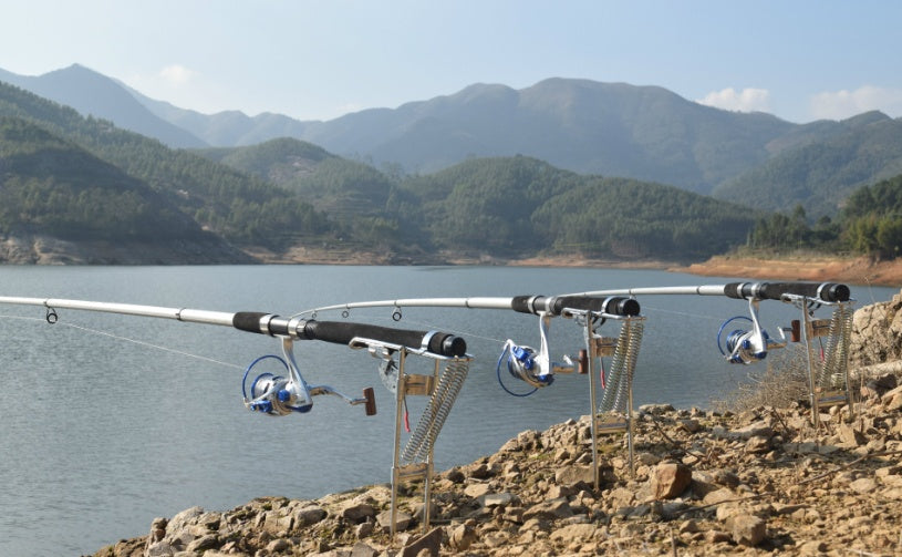 Maestro detector de peces