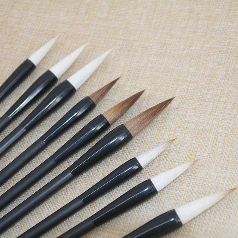 Brosse à cheveux Student Wolf, débutant et brosse à cheveux