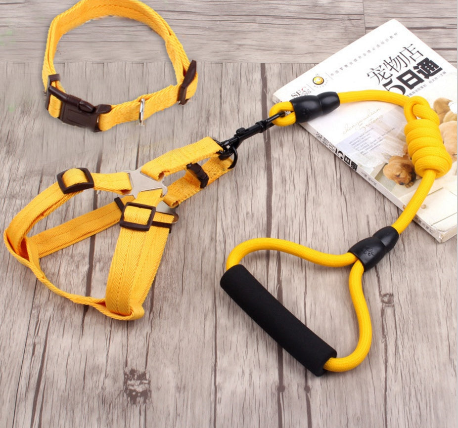 chaîne pour chien, collier pour chien, corde de harnais pour animaux de compagnie