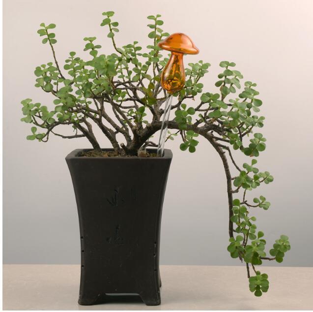 Regaderas automáticas de vidrio para pájaros, regaderas de flores, plantas decorativas, dispositivo de riego de vidrio transparente, planta de interior