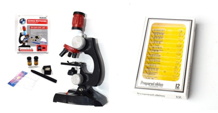 Microscope des sciences biologiques et de l'éducation des enfants