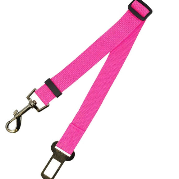 Sangle fixe en polyester pour chien, laisse pour chien, laisse pour chien