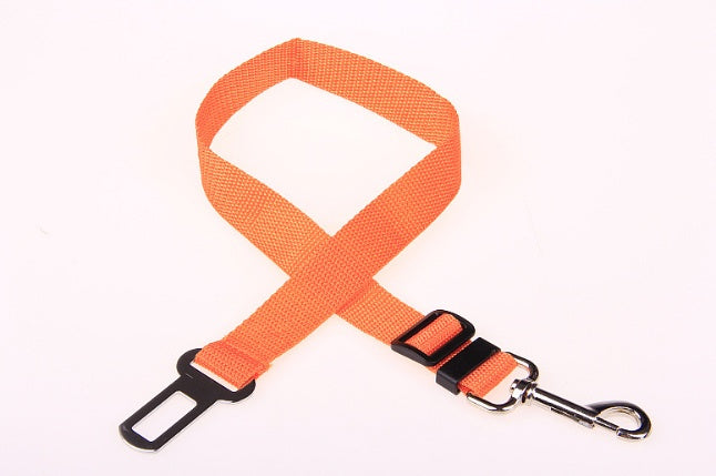 Sangle fixe en polyester pour chien, laisse pour chien, laisse pour chien