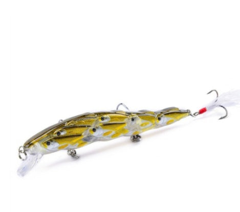 Appât à poisson pour siniperca chuatsi