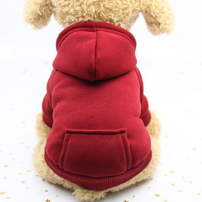 Costume de chien tasse à thé 1 chat chiots chien rouge hiver