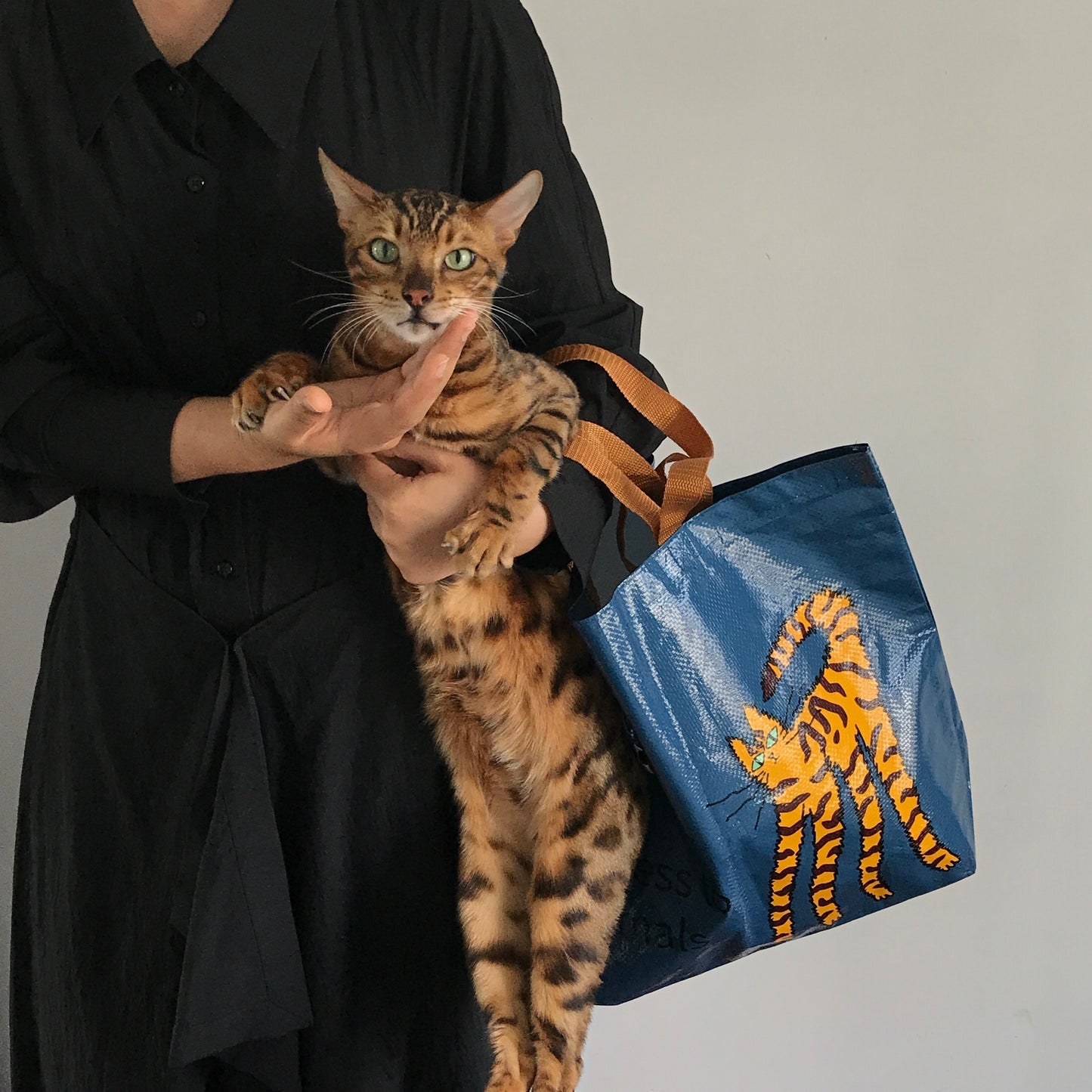 Sac tissé portatif réutilisable de protection de l'environnement d'épaule de cadeau