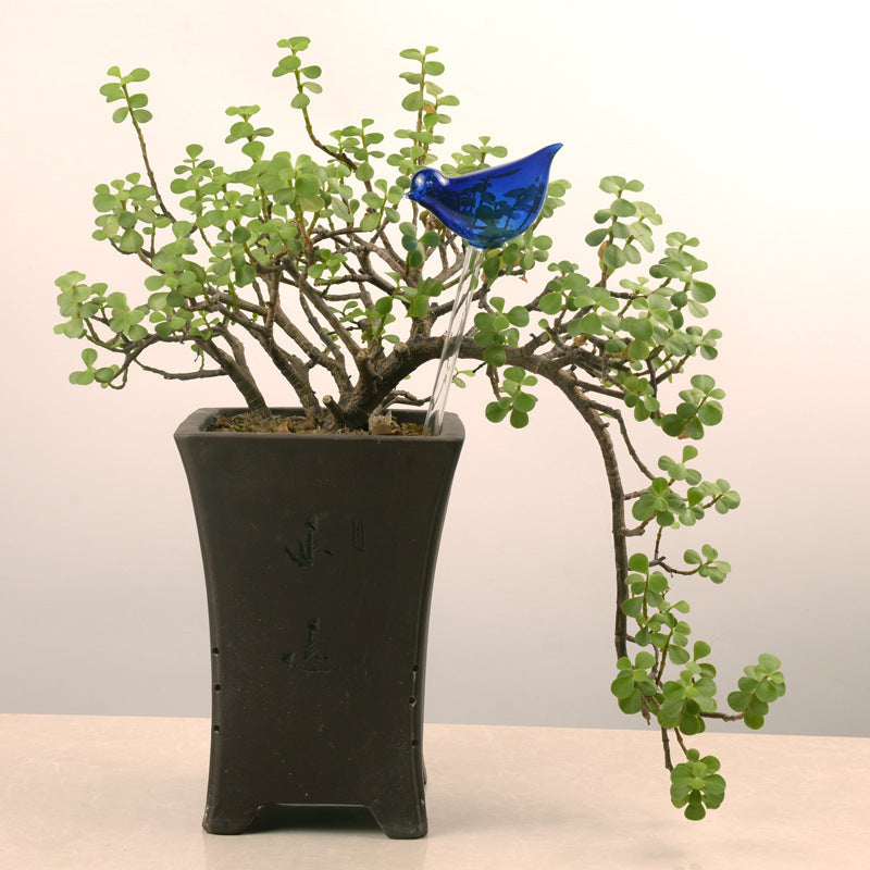 Regaderas automáticas de vidrio para pájaros, regaderas de flores, plantas decorativas, dispositivo de riego de vidrio transparente, planta de interior