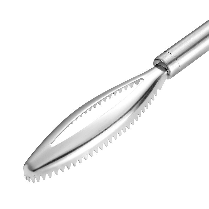 Báscula de acero inoxidable 430 para eliminar artefactos, herramienta para matar peces, utensilios de cocina