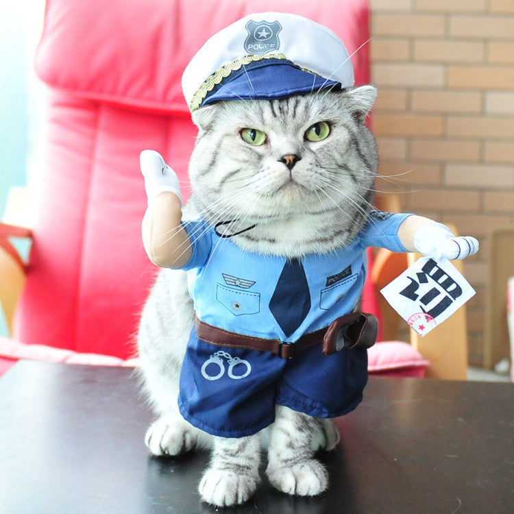 Disfraz de gato mascota primavera y otoño.
