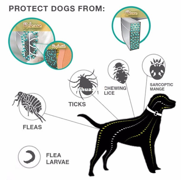 Collier anti-puces et antitiques de qualité supérieure