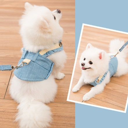 Ensemble de laisse de harnais pour chien mignon