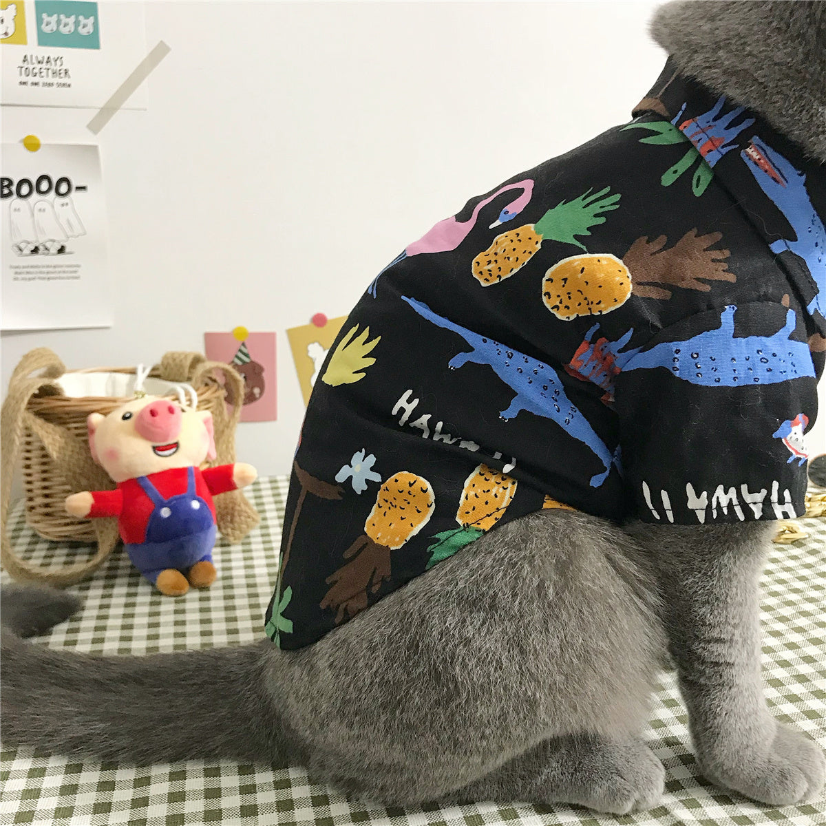 Vêtements pour chats