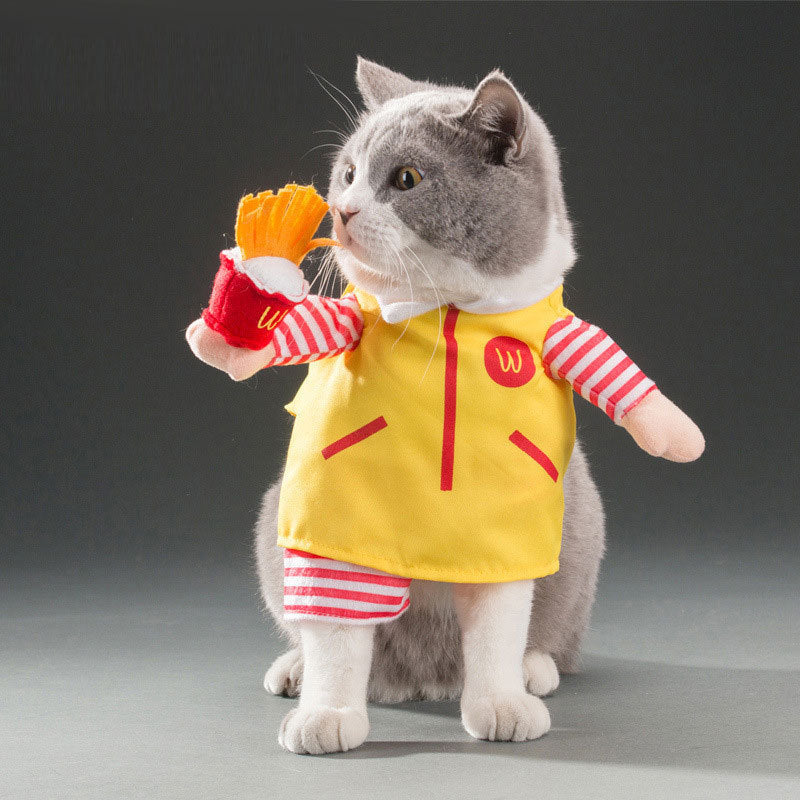 Disfraz de gato mascota primavera y otoño.