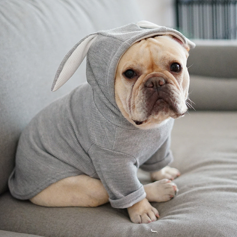 Vêtements pour animaux de compagnie pour chiens, vêtements de printemps et d'automne