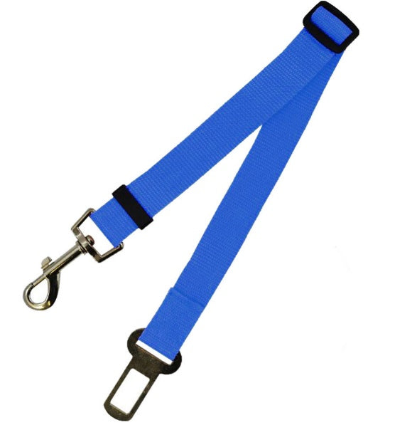 Sangle fixe en polyester pour chien, laisse pour chien, laisse pour chien