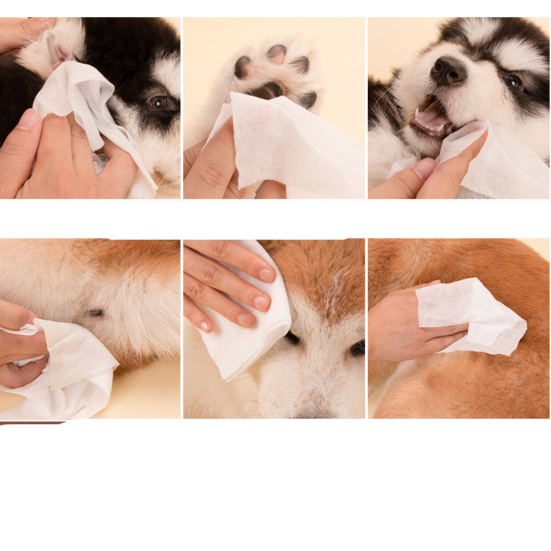 Lingettes humides pour animaux