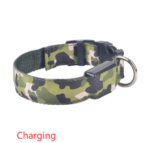 Collier de chien lumineux, fournitures pour animaux de compagnie, Camouflage
