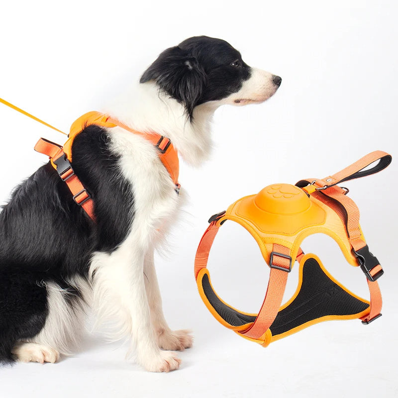 Harnais de collier pour chien, antidéflagrant, poinçon respirant et réglable pour animaux de compagnie, gilet d'entraînement en plein air