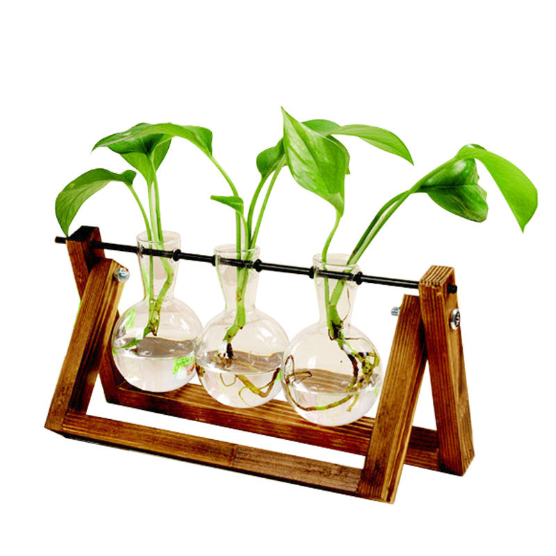 Vase en verre de récipient de plante hydroponique de support en bois d'oscillation
