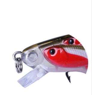 Appât à poisson pour siniperca chuatsi
