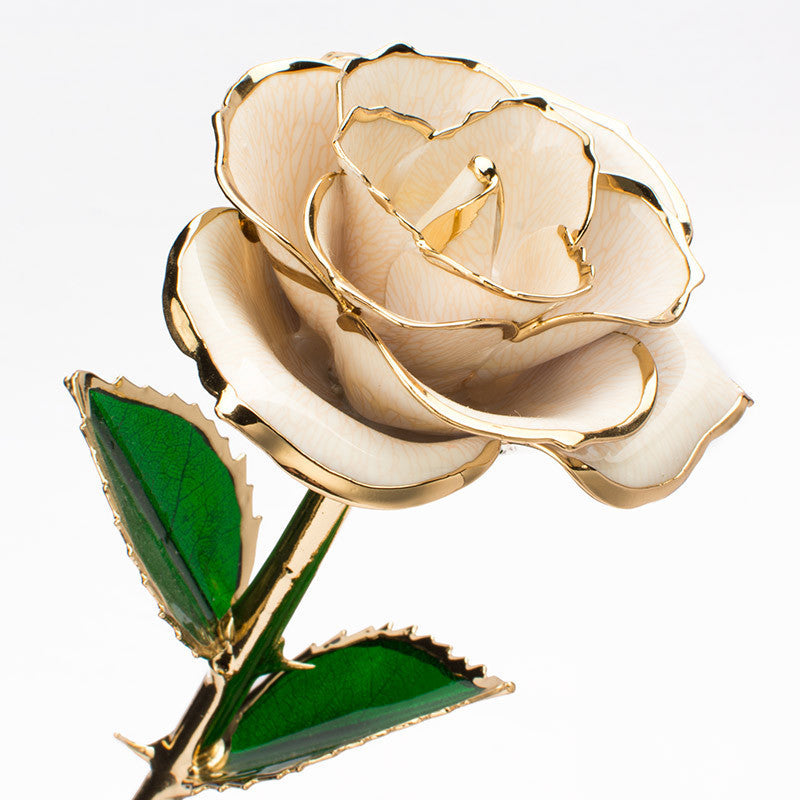 Fleur rose plaquée or 24 carats avec un coffret cadeau, cadeau de la Saint-Valentin