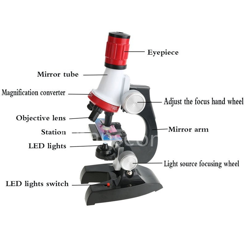 Microscope des sciences biologiques et de l'éducation des enfants