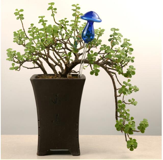 Regaderas automáticas de vidrio para pájaros, regaderas de flores, plantas decorativas, dispositivo de riego de vidrio transparente, planta de interior