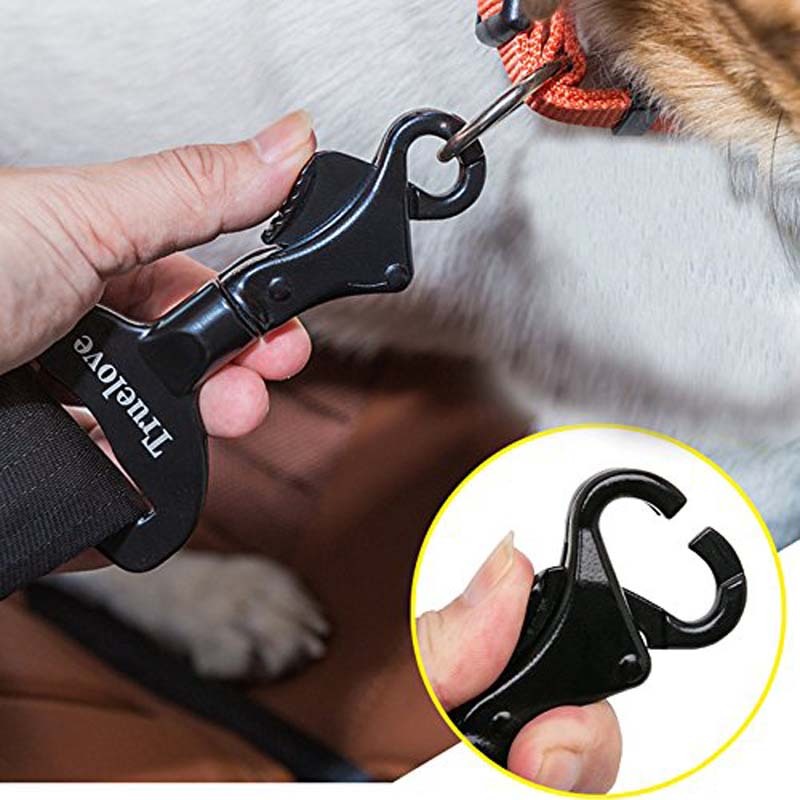 Ceinture de sécurité pour chien