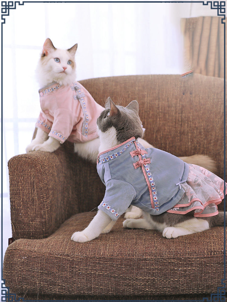 Vêtements pour chats