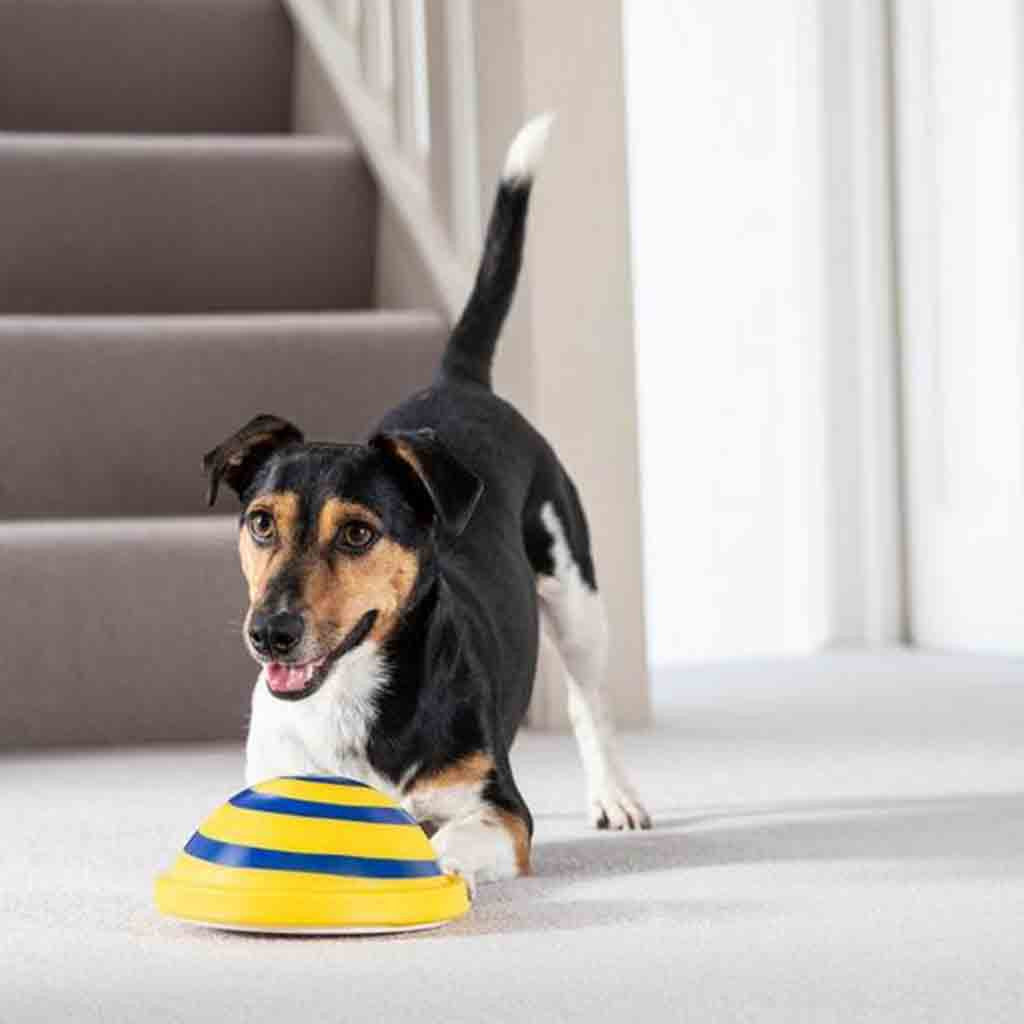 Disque sonore Woof planeur doux et sûr pour animaux de compagnie d'intérieur, jouet de jeu pour animaux de compagnie, jouets de divertissement à interaction unique