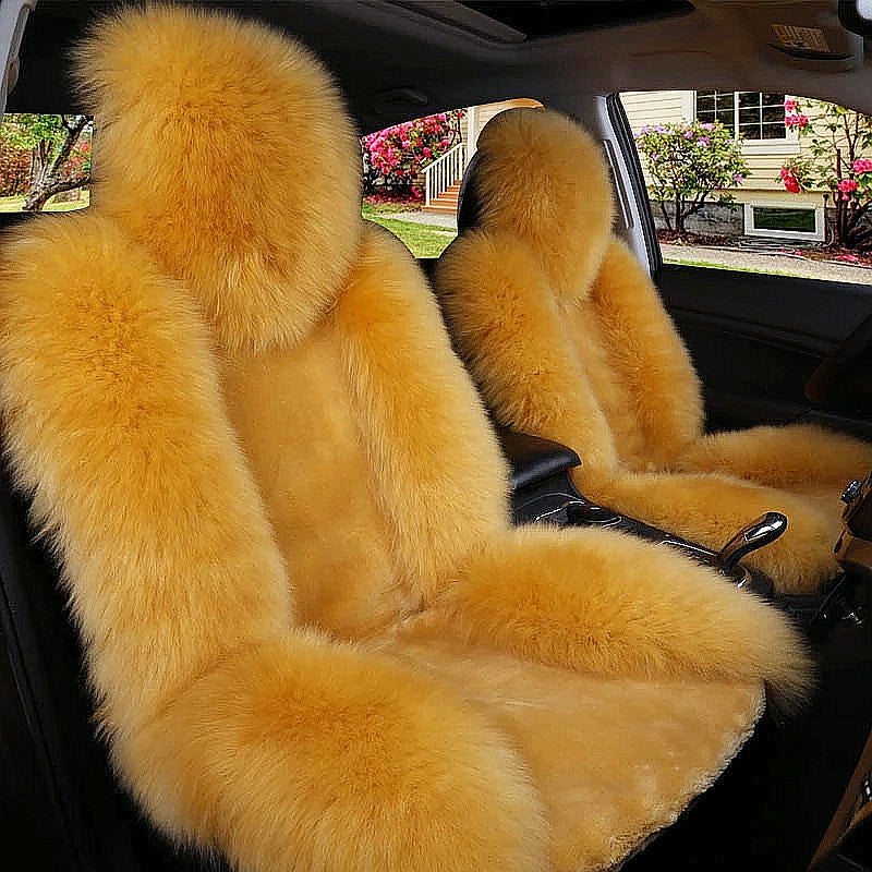 Coussin de voiture hiver