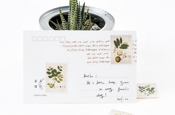 Juego de pegatinas de plantas vintage de 45 piezas