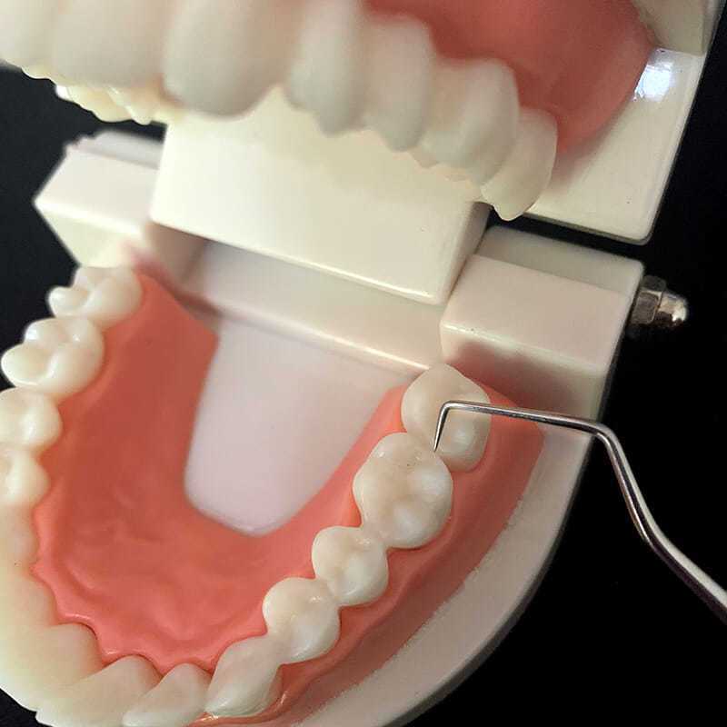 Cure-dents en acier inoxydable 304, outil de nettoyage Portable domestique, ensemble de 7 pièces
