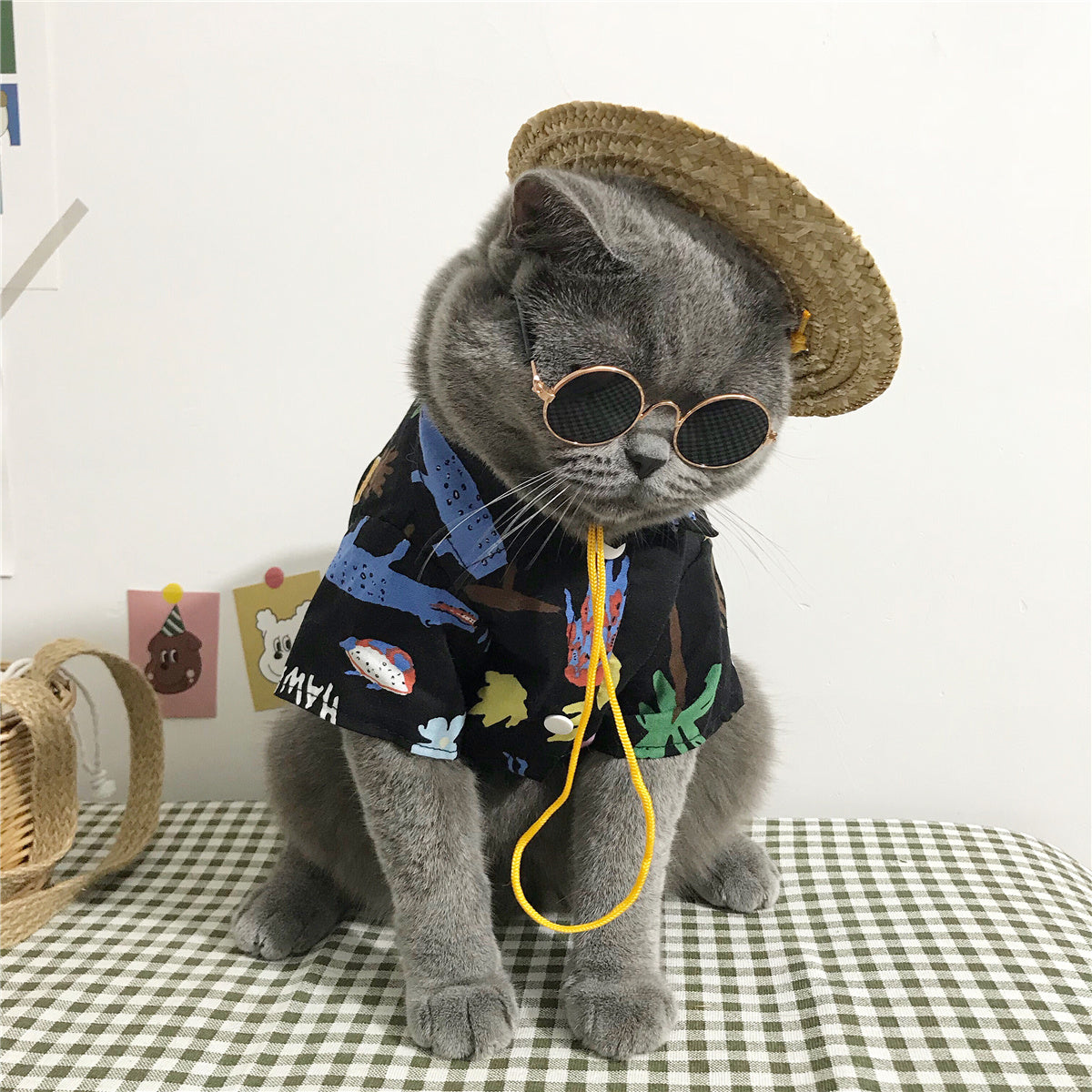 Vêtements pour chats