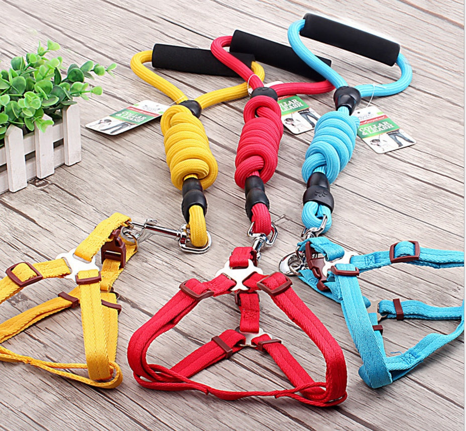 chaîne pour chien, collier pour chien, corde de harnais pour animaux de compagnie