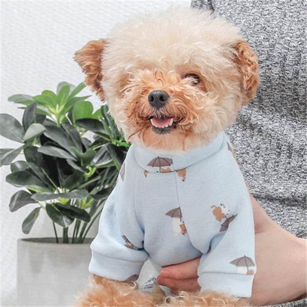 ropa para perros