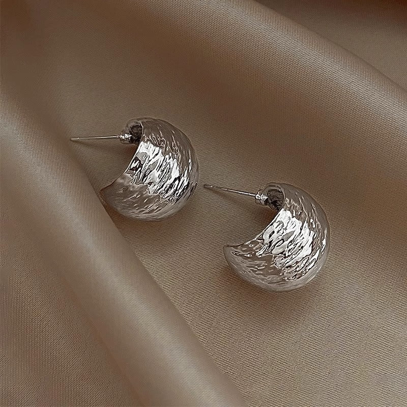 Sterling Silver Needle Niche Design Earrings For Women