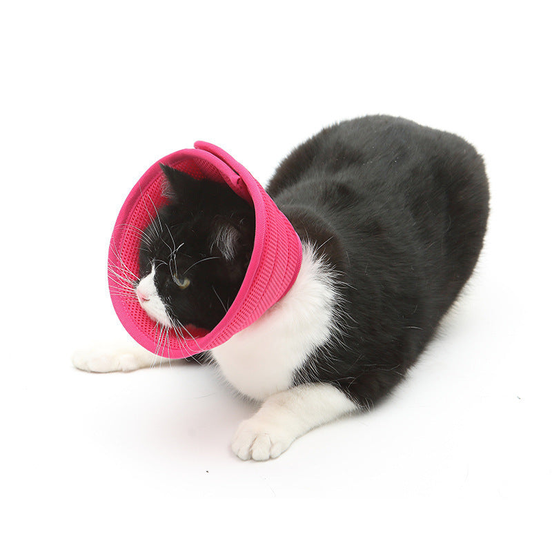 Collar antimordida para perros y gatos, collares de recuperación médica para mascotas, cubierta de protección transparente para mascotas, Collar isabelino circular para suministros para mascotas