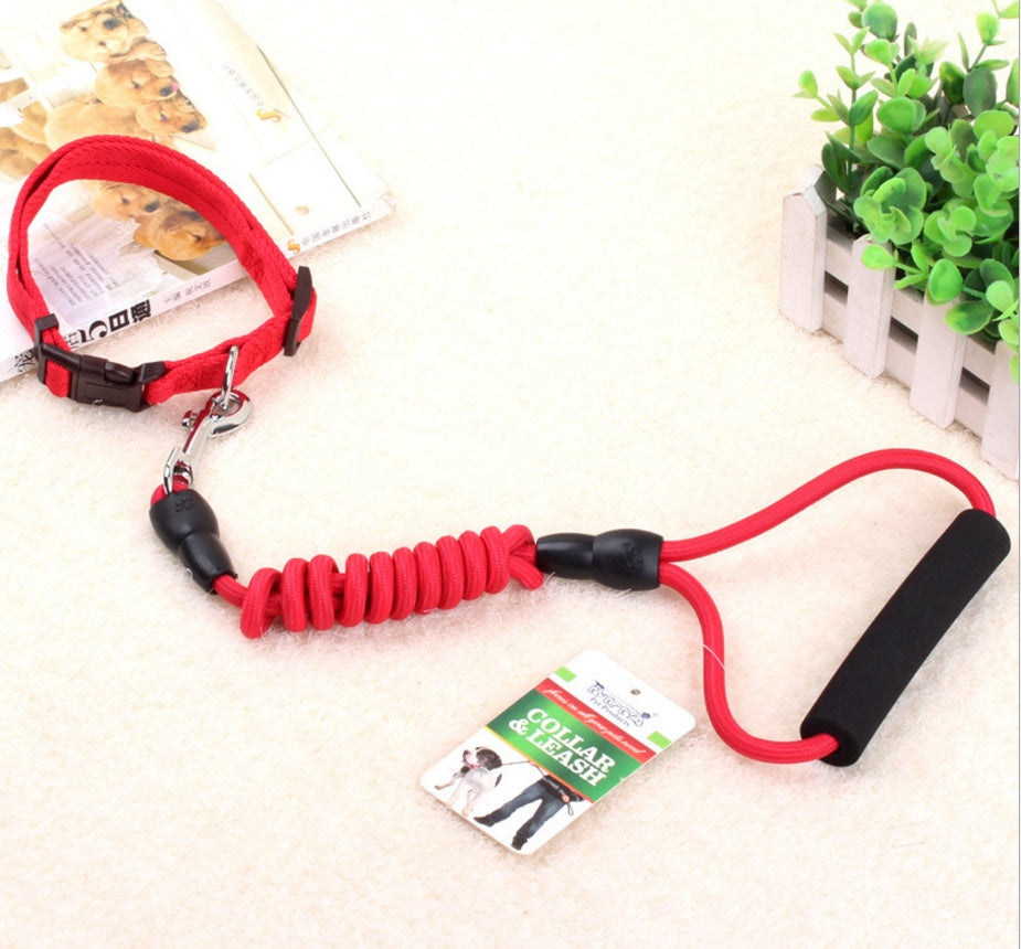 chaîne pour chien, collier pour chien, corde de harnais pour animaux de compagnie