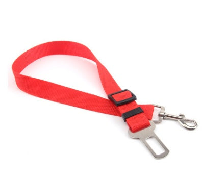 Sangle fixe en polyester pour chien, laisse pour chien, laisse pour chien