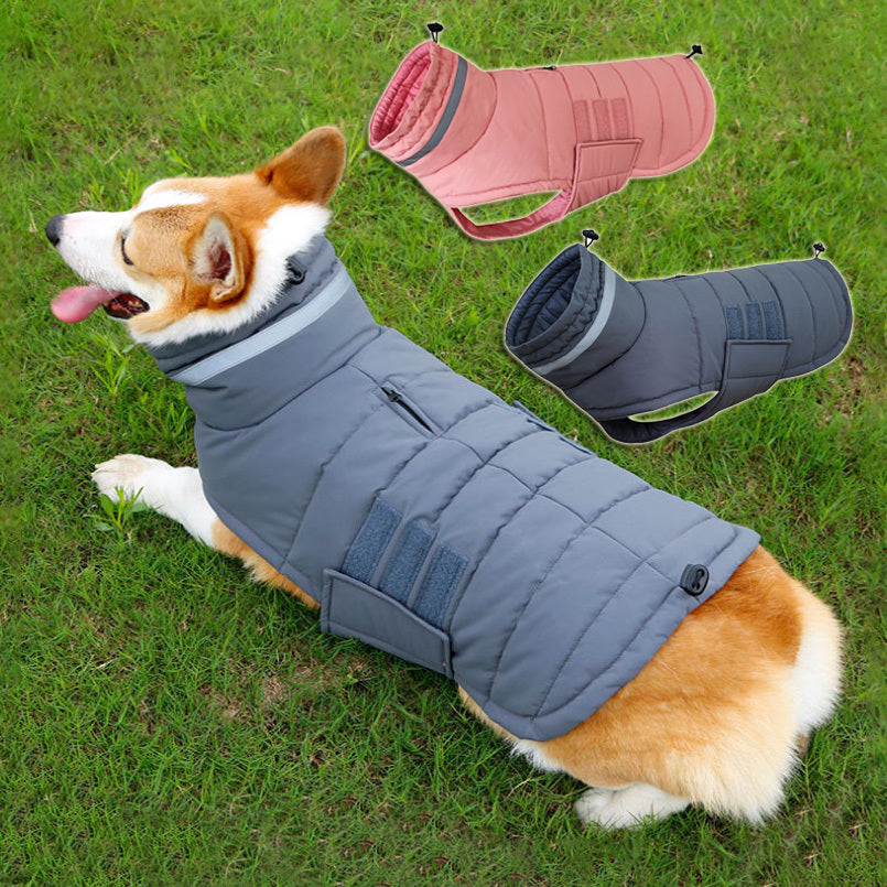 Manteau d'hiver imperméable pour chien, vêtements pour animaux de compagnie de grande taille, gilet chaud et épais pour chien, veste personnalisée du Labrador, nouvelle collection