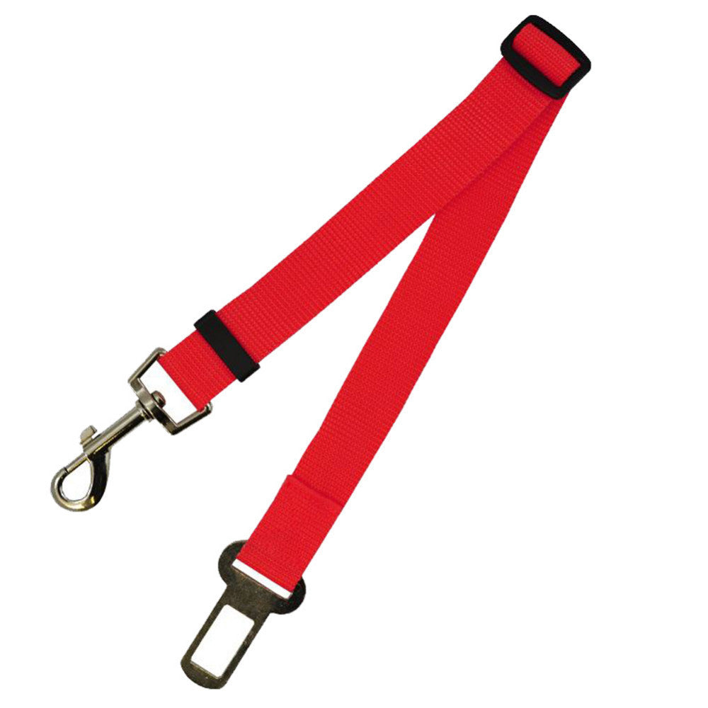 Sangle fixe en polyester pour chien, laisse pour chien, laisse pour chien