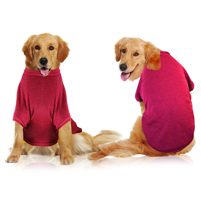 vêtements pour animaux de compagnie